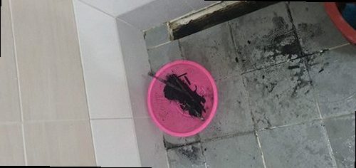 시흥 미산동 하수구막힘 변기막힘 업체 직접 비교해보니 알겠더라